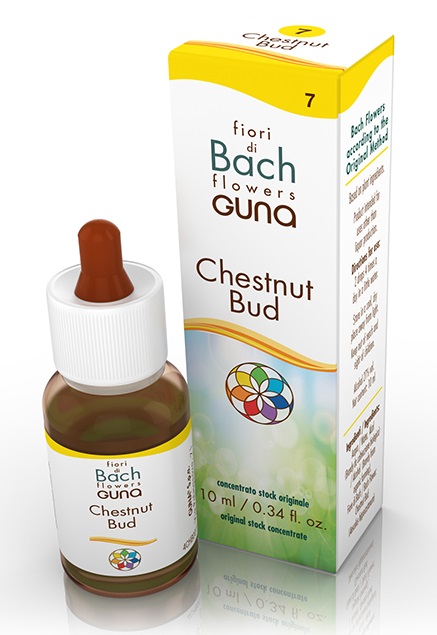 CHESTNUT BUD GOCCE 10 ML - Farmacia De Pasquale