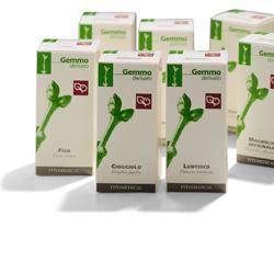 BETULLA PUBESCENS GEMME MACERATO GLICERICO 50 ML - Farmacia De Pasquale