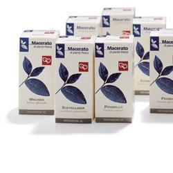 POTENTILLA TINTURA MADRE 50 ML - Farmacia De Pasquale