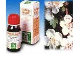 BIANCOSPINO 10 50ML TM - Farmacia De Pasquale