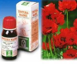 PAPAVERO CALIFORNIA 13 50ML TM - Farmacia De Pasquale