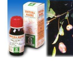 QUERCIA MARI 14 50ML TM - Farmacia De Pasquale