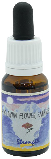 STRENGTH ESSENZA 15 ML 1 PEZZO - Farmacia De Pasquale