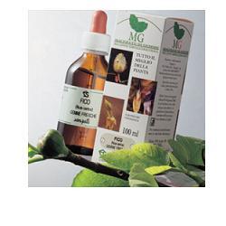 TIGLIO ARGENT MACERATO GLICERICO 100 ML - Farmacia De Pasquale