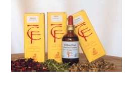 QUERCIA GEMME 50ML MG - Farmacia De Pasquale