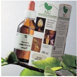 BETULLA MACERATO GLICERICO 100 ML - Farmacia De Pasquale