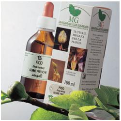 SEQUOIA MACERATO GLICERICO 100 ML - Farmacia De Pasquale