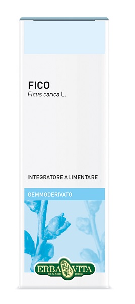 GEMMODERIVATO FICO 50 ML - Farmacia De Pasquale