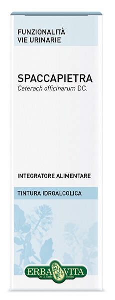 SPACCAPIETRA TINTURA IDROALCOLICA 50 ML EBV - Farmacia De Pasquale