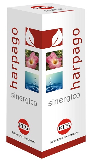 HARPAGO SINERGICO GOCCE 100 ML - Farmacia De Pasquale