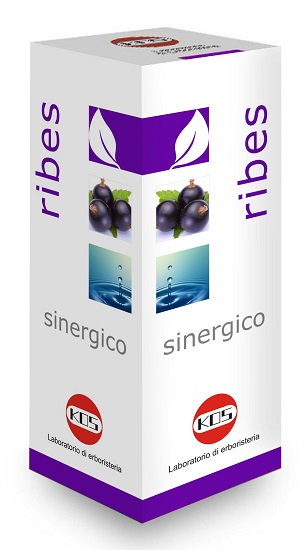 RIBES SINERGICO GOCCE 100 ML - Farmacia De Pasquale