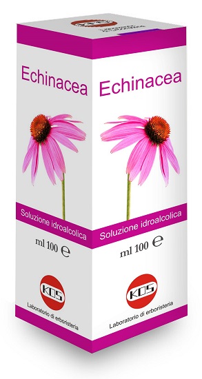 ECHINACEA SOLUZIONE IDROALCOLICA PIANTA FRESCA 100 ML - Farmacia De Pasquale