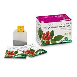 INFUSO BIO FRUTTA FRUTTI DI BOSCO 20 FILTRI - Farmacia De Pasquale