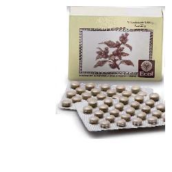 CIMICIFUGA 50 TAVOLETTE 500 MG - Farmacia De Pasquale