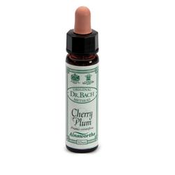 AINSWORTHS CHERRY PLUM 10ML - Farmacia De Pasquale