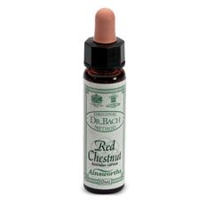 AINSWORTHS RED CHESTNUT 10ML - Farmacia De Pasquale