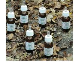 KA PLANTA OLIO MASSAGGIO 30 ML - Farmacia De Pasquale