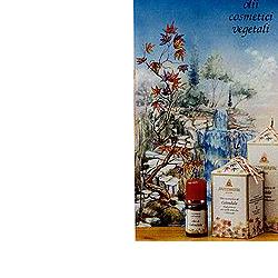 CALENDULA OLIO 100ML - Farmacia De Pasquale