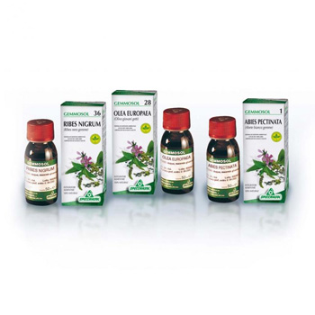 GEMMOSOL 46 TIGLIO ARGEN 50ML - Farmacia De Pasquale
