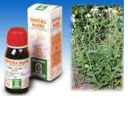 ACHILLEA 51 TINTURA MADRE 50 ML - Farmacia De Pasquale