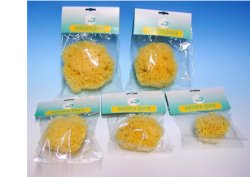 NATURA PURA SPUGNA NATURALE 16 BUSTE - Farmacia De Pasquale