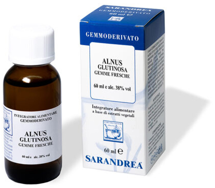 ALNUS GLUTINOSA 100 ML MACERATO GLICERICO - Farmacia De Pasquale