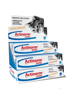 ACTINORM PASTA GATTI 65 G - Farmacia De Pasquale