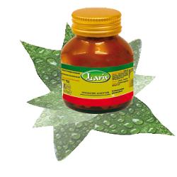 CARTILAGINE DI SQUALO 60 CAPSULE - Farmacia De Pasquale