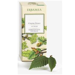 FRAXINUS EXCELS GEMME GEMMODERIVATO BIO 50 ML - Farmacia De Pasquale