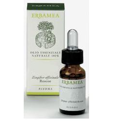 MENTA PIPERITA OLIO ESSENZIALE 10 ML - Farmacia De Pasquale