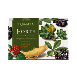 FORTE 24 CAPSULE - Farmacia De Pasquale