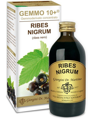 GEMMO 10+ RIBES NERO 200 ML LIQUIDO ANALCOLICO - Farmacia De Pasquale