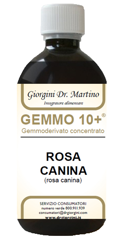 GEMMO 10+ ROSA CANINA LIQUIDO ANALCOLICO 500 ML - Farmacia De Pasquale