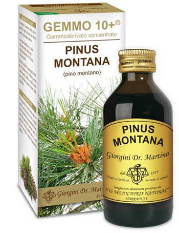 GEMMO 10+ PINO MONTANO 100 ML LIQUIDO ANALCOLICO - Farmacia De Pasquale