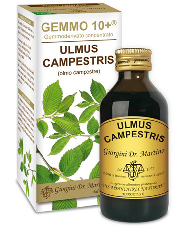 GEMMO 10+ OLMO CAMPESTRE 100 ML LIQUIDO ANALCOLICO - Farmacia De Pasquale