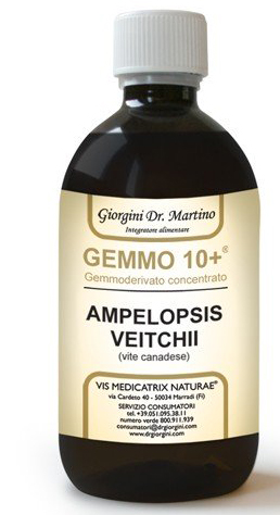 GEMMO 10+ GEMMODERIVATO CONCENTRATO LIQUIDO ANALCOLICO AMPELOPSIS VEITCHI VITE CANADESE 500 ML - Farmacia De Pasquale