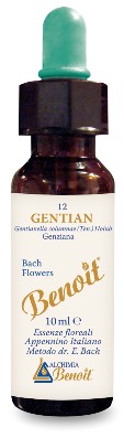 FIORI DI BACH BENOIT GENTIAN 10 ML - Farmacia De Pasquale