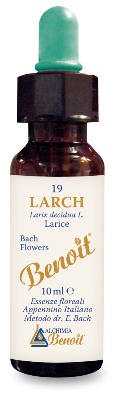 FIORI DI BACH BENOIT LARCH 10 ML - Farmacia De Pasquale