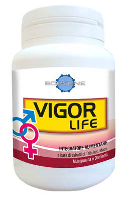 VIGOR LIFE 40 CAPSULE - Farmacia De Pasquale