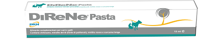 DIRENE PASTA 15 ML - Farmacia De Pasquale