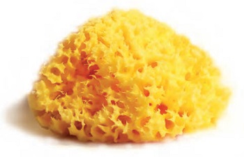 SPUGNA NATURALE MEDITERRANEA LABORATORI ATENEI 8 - Farmacia De Pasquale