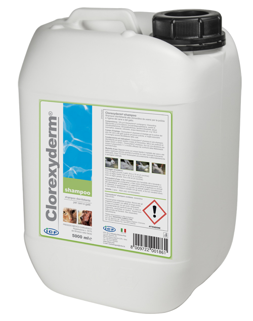 CLOREXYDERM SHAMPOO 5 LITRI - Farmacia De Pasquale