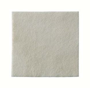 MEDICAZIONE BIATAIN ALGINATE AG ALGINATO CON ARGENTO 10X10CM 10 PEZZI - Farmacia De Pasquale