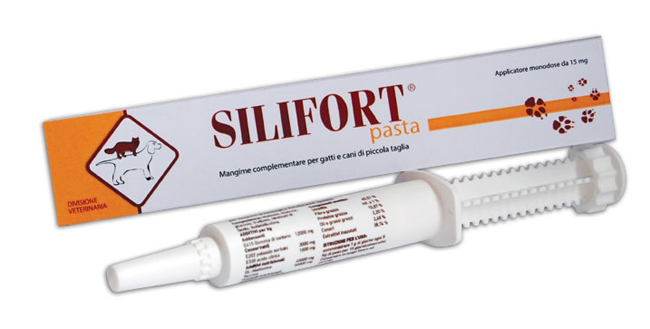 SILIFORT PASTA OS SIRINGA 30 G - Farmacia De Pasquale