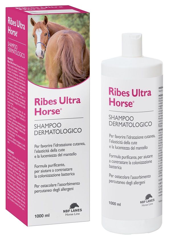 RIBES HORSE ULTRA SHAMPOO DERMATOLOGICO 1 LITRO - Farmacia De Pasquale