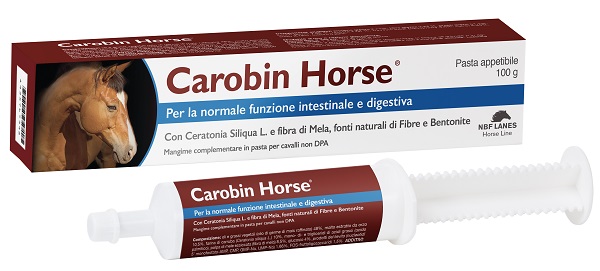 CAROBIN HORSE PASTA APPETIBILE SIRINGA 100 G - Farmacia De Pasquale