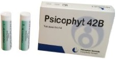 PSICOPHYT REMEDY 42B 4 TUBI 1,2G - Farmacia De Pasquale