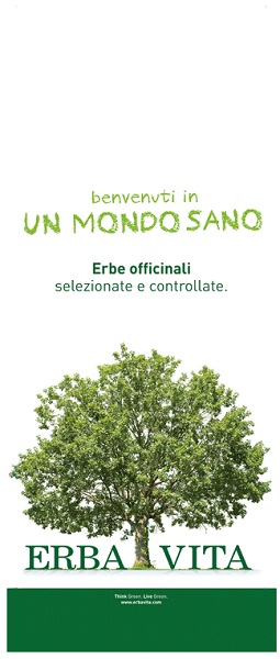 PASSIFLORA SOMMITA' TAGLIO TISANA 1 KG - Farmacia De Pasquale