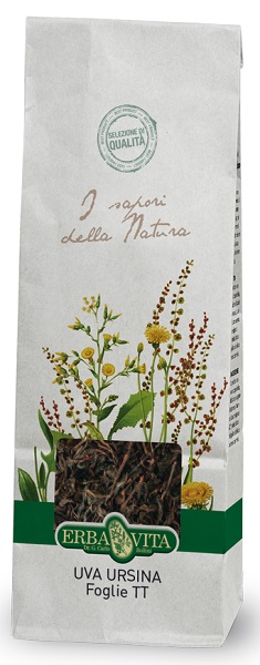 UVA URSINA TAGLIO TISANA FOGLIE 100 G - Farmacia De Pasquale