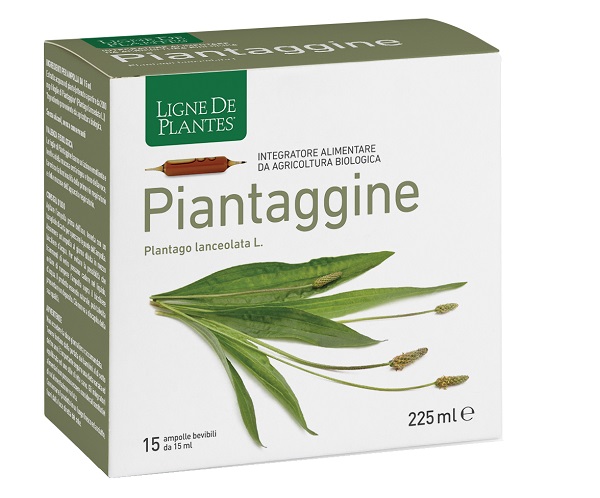 PIANTAGGINE 15 AMPOLLE BEVIBILI 15 ML - Farmacia De Pasquale